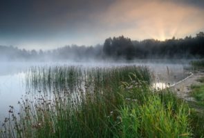 Alutaguse Kurtna järvestiku järv