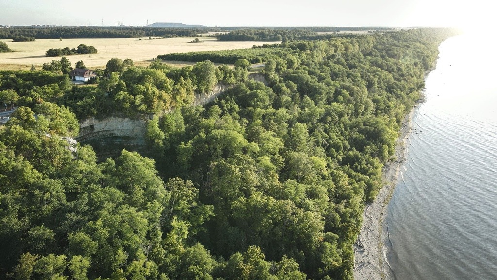 kuva: Hetkeline