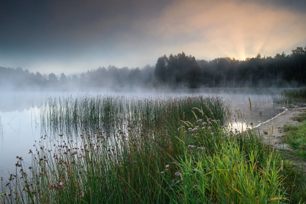 Alutaguse Kurtna järvestiku järv