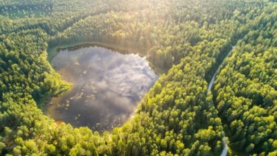 Kurtna järvestik