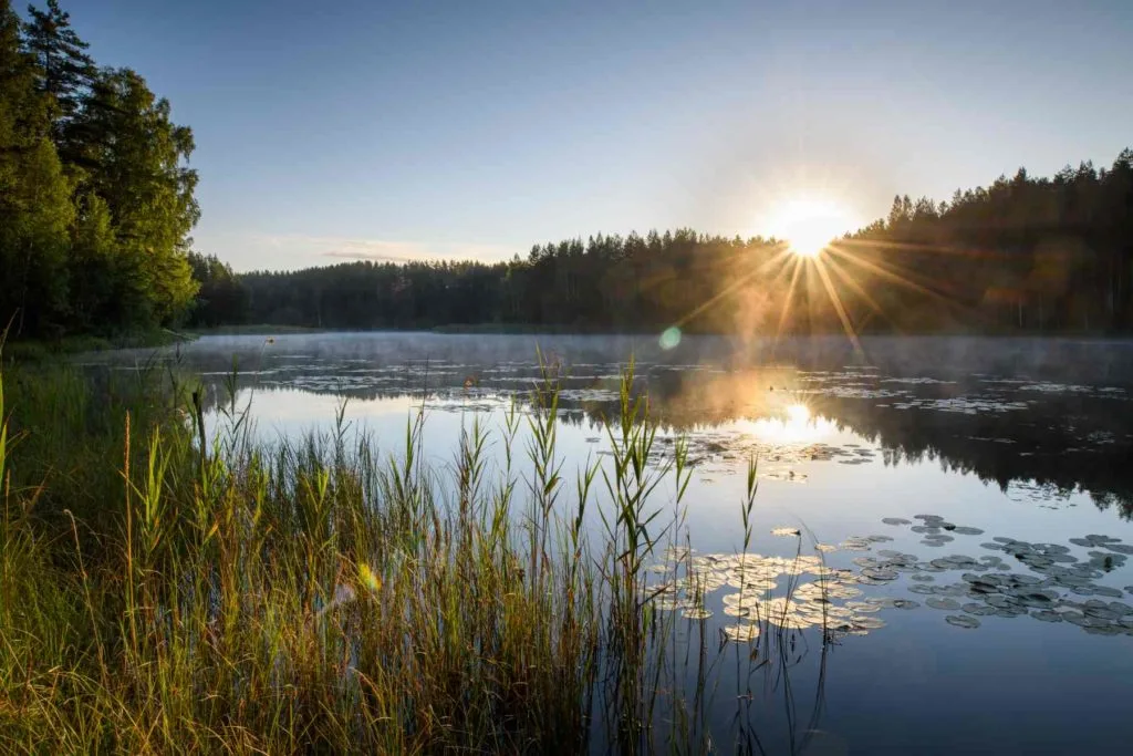 Ida-Virumaa kurtna järved