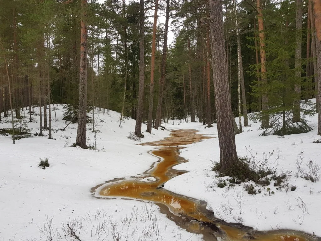 Uljaste matkaraja ääres talvel lahtine ojakoht