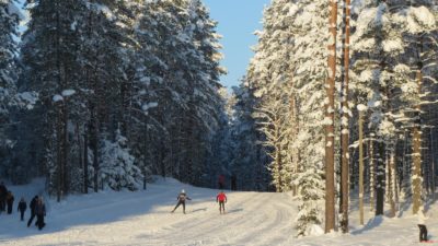 Alutaguse Puhke- ja Spordikeskuse suusarajad
