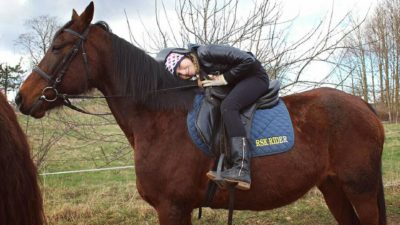 Ratsutamine ratsaspordiklubis Rider