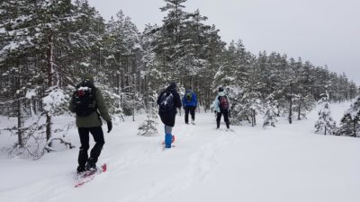Alutaguse Matkaklubi räätsamatk Hiiesoos