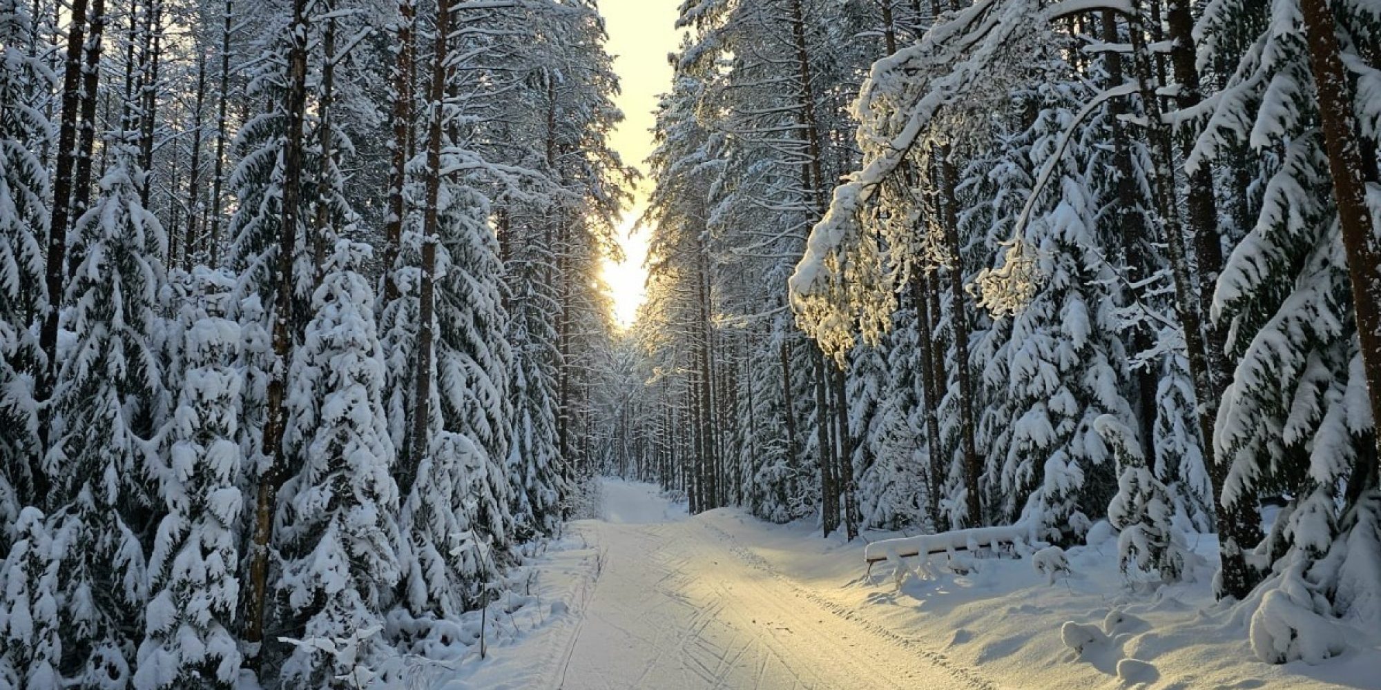 1200x800 Alutaguse Tervisespordikeskus