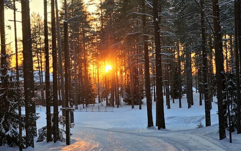 Suusapuhkus Alutaguse Tervisespordikeskuses