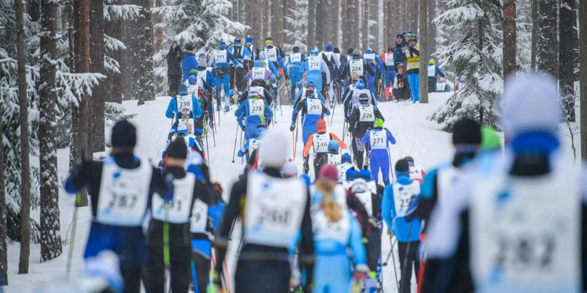 Alutaguse Tervisespordikeskuse suusarajad. Foto Sven Začek