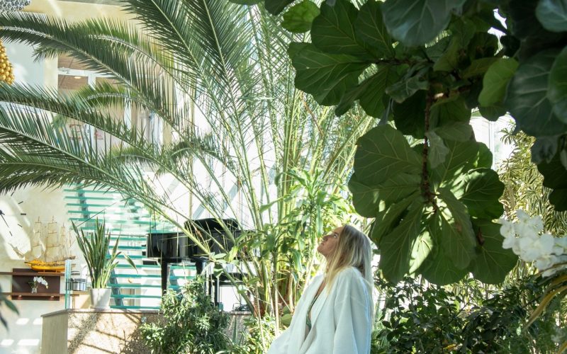 Toila SPA Orhidee