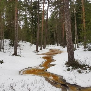 Uljaste matkaraja ääres talvel lahtine ojakoht